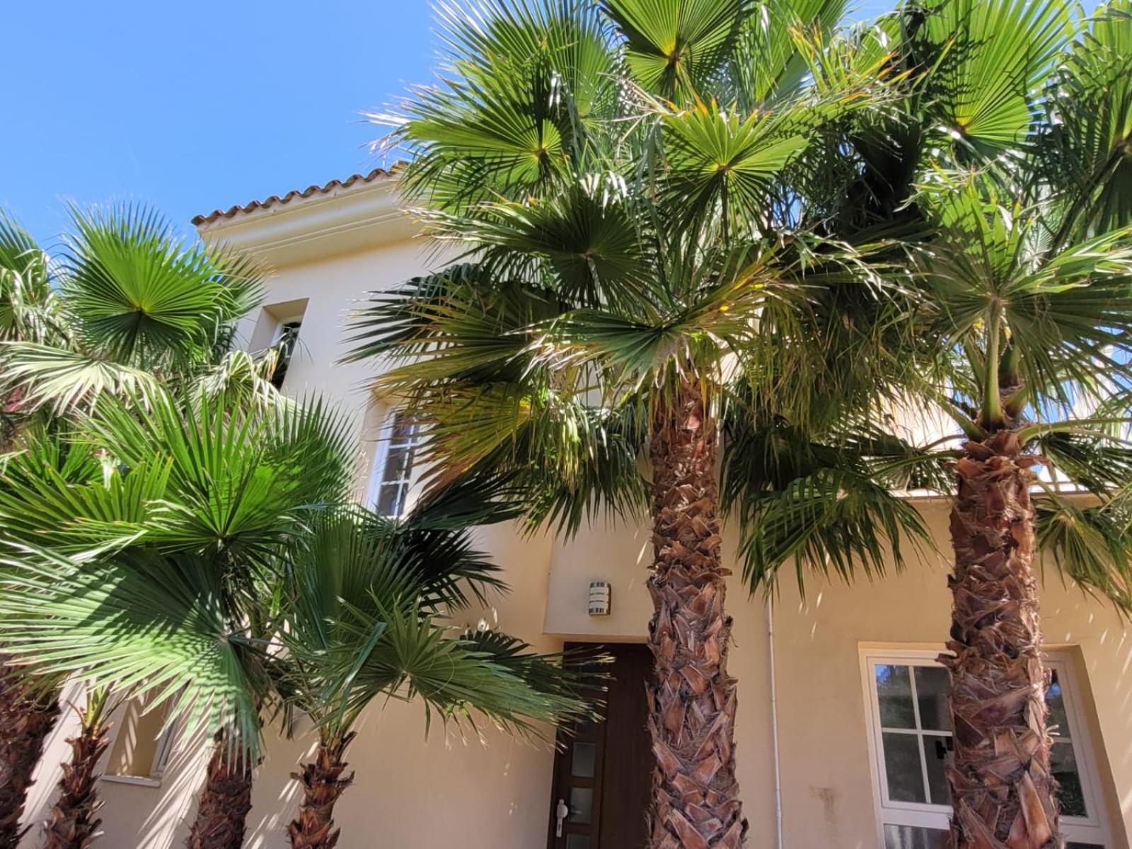 La Esperanza Vakantiehuis Cala Murada (Mallorca)